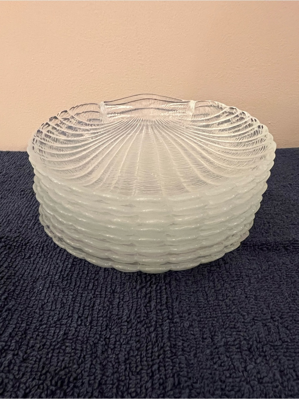 Clear Glass Scallop Shell Dish/Apps Plate Set (Set of 8) - Like New - Picture 5 of 6